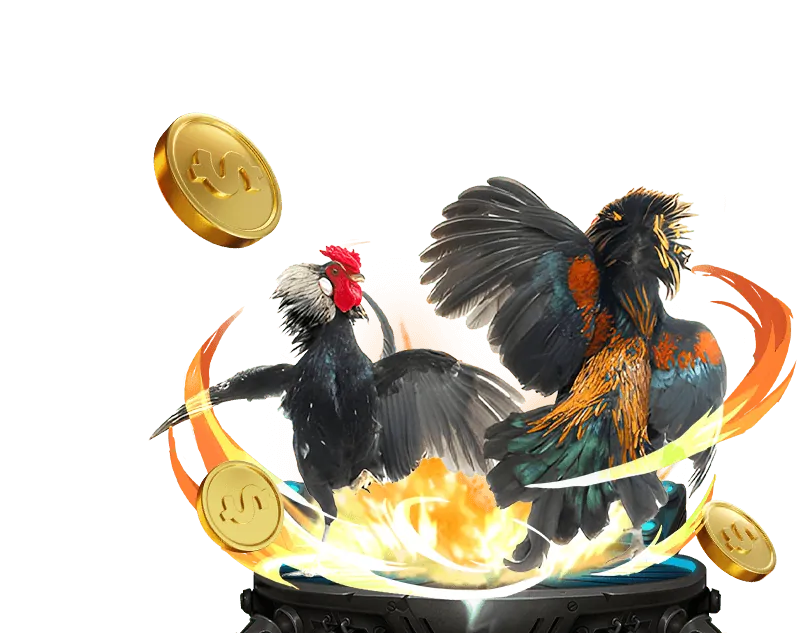 Cá cược có trách nhiệm tại k88 web